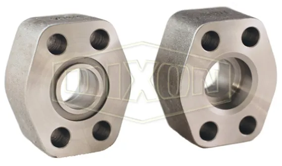 Hydraulic 4-Bolt Flange Pipe Socket Weld | Dixon